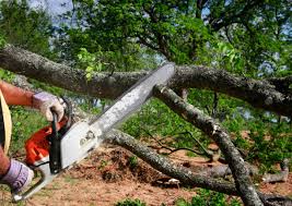 Best Lawn Irrigation Installation and Maintenance  in Hesperia, CA
